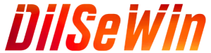 dilsewin-logo